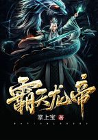 霸天龙帝无邪公子的小说